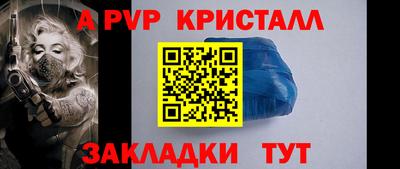 крисы Донской