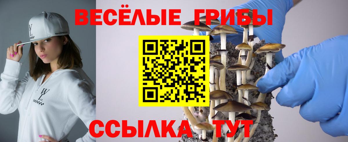 наркота  Галлюциногенные грибы мухоморы  Вход с VPN  Изобильный 