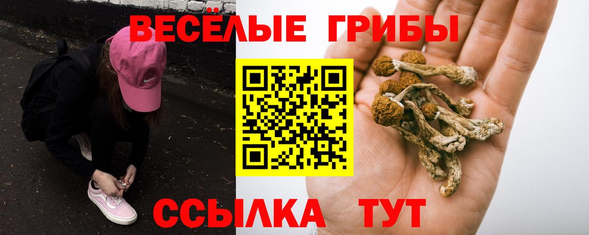 Псилоцибиновые грибы ЛСД Изобильный